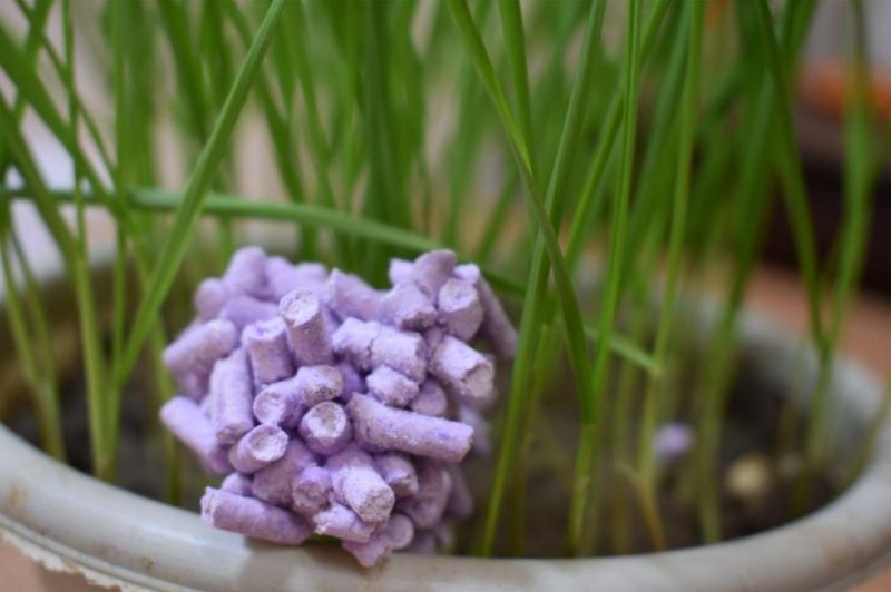 Cat Cleaning Product: Lavender Scent Tofu Cat Litter