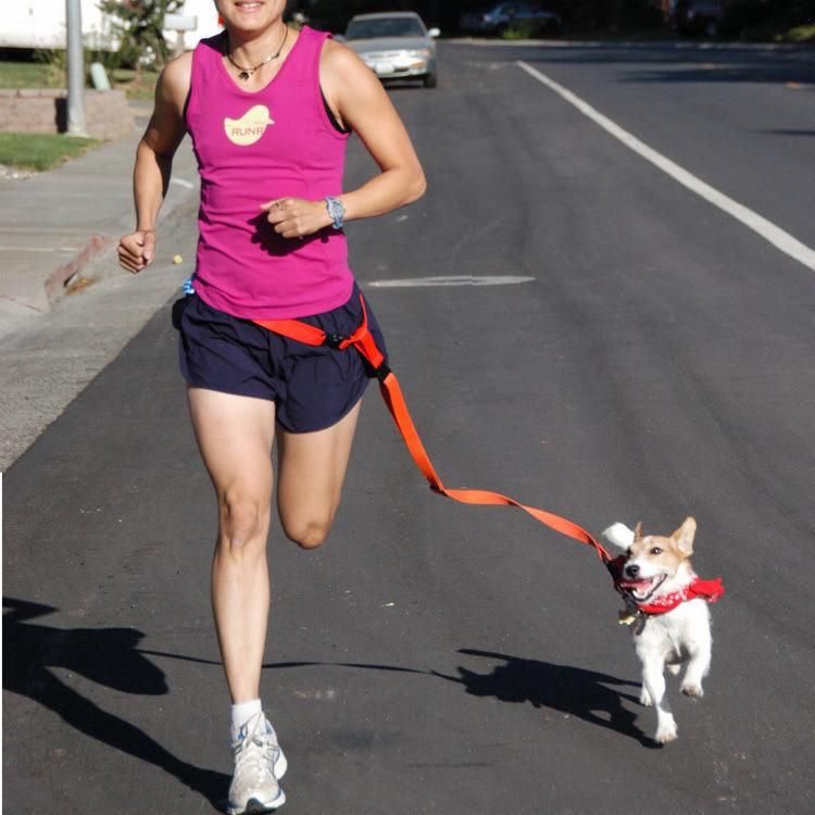 Muti-Color Pet Product Hiking Running Pet Dog Leash Weave Pet Accessories