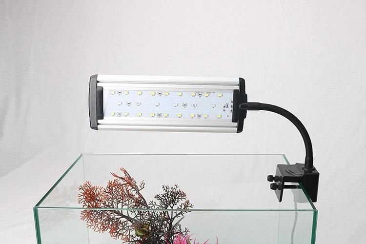 Aquarium LED Clamp Light with Timer 10W on Open Tank