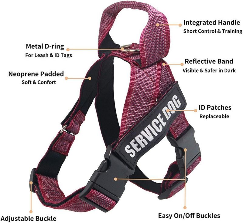 K9 IDC Color & Gray Belt Harness for Dogs