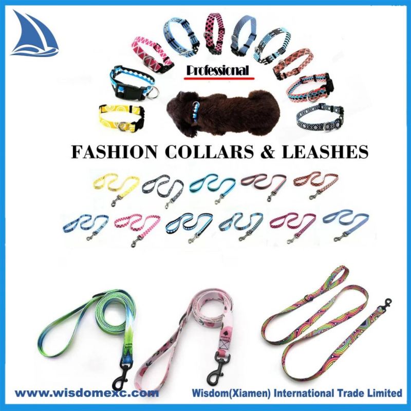 Dog Collar Long Leash Set Customized Pattern with Silver Clip