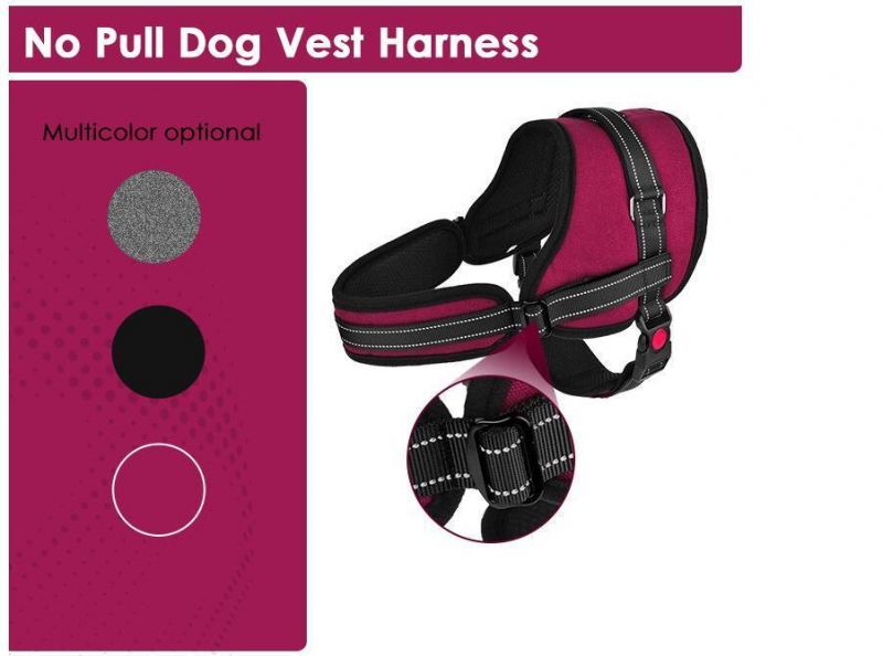 No Pull Dog Harness Vest Adjustable Neck and Chest Strap Padded Halter Vest Top Handle Harness Locker Designers Dog Harness