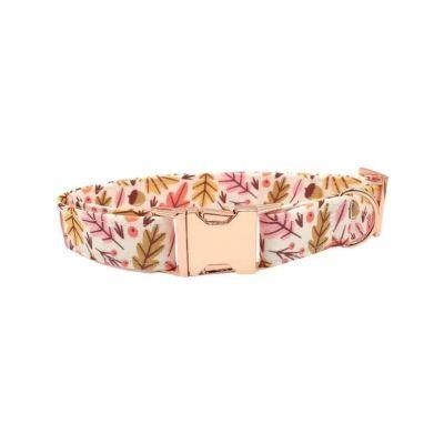 OEM Factory Customized Dog Collar Dog Accessories