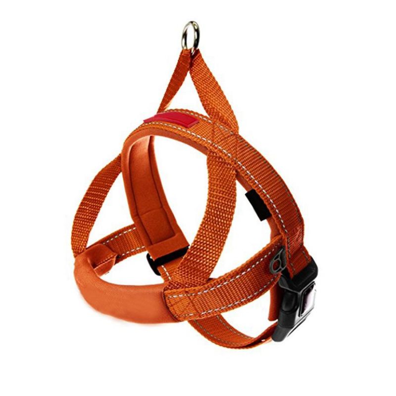 OEM All Kinds of Pet Products, Pet Accessories, Pet Supplier