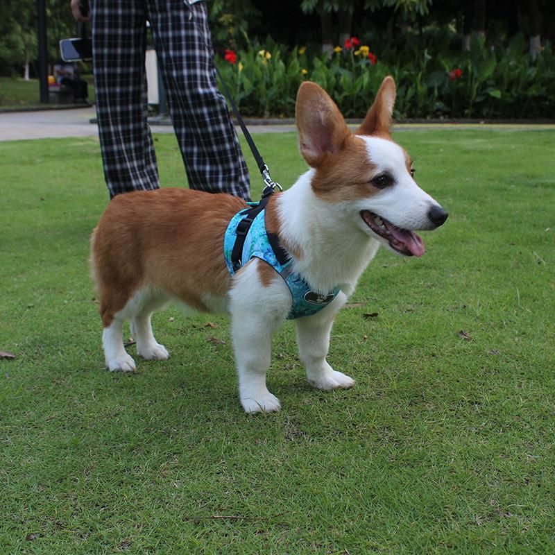 Pet Collar and Leash Reflective Dog Vest Type Traction Leash Collar Leash Rope Running Walking Safe Night Pet Products Harness