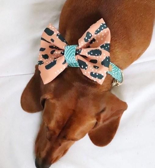 Custom Canvas Polyester Pet Dog Bowtie with Private Brand Logo