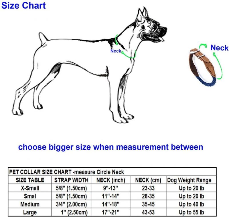 Genuine Leather Belt Collar for Medium Dog Large Dogs