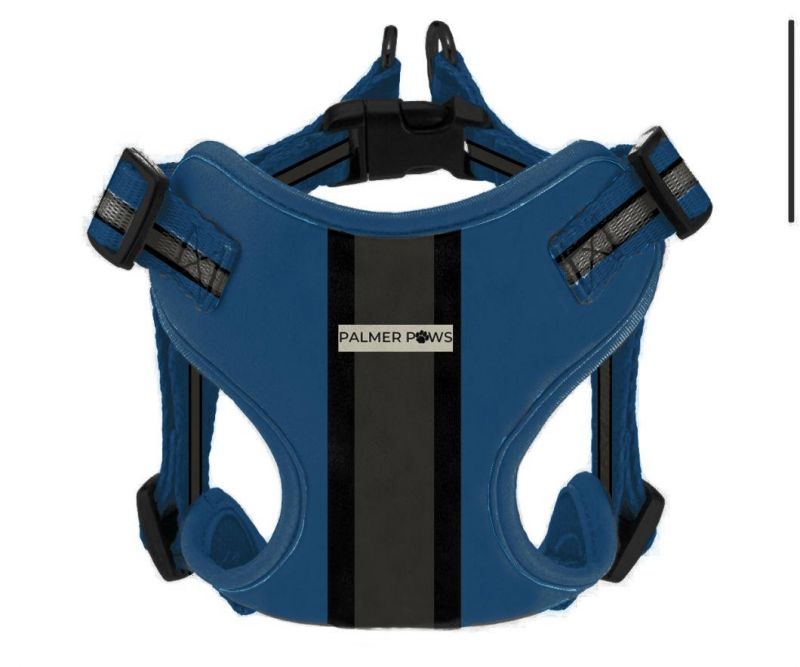 No Pull on The Dog′ S Chest Harness, Walking Pet Chest Harness, with 2 Metal Loops and Handles, Adjustable Reflective and Breathable Oxford Soft Vest,