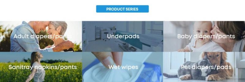 Reusable Waterproof Training Disposable Diapers for Pets