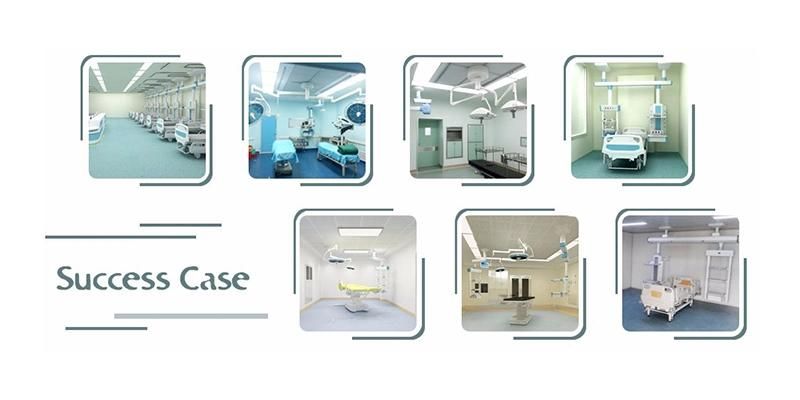 Manufacturer Pet Bath Stainless Steel Surf Tank for Hospital