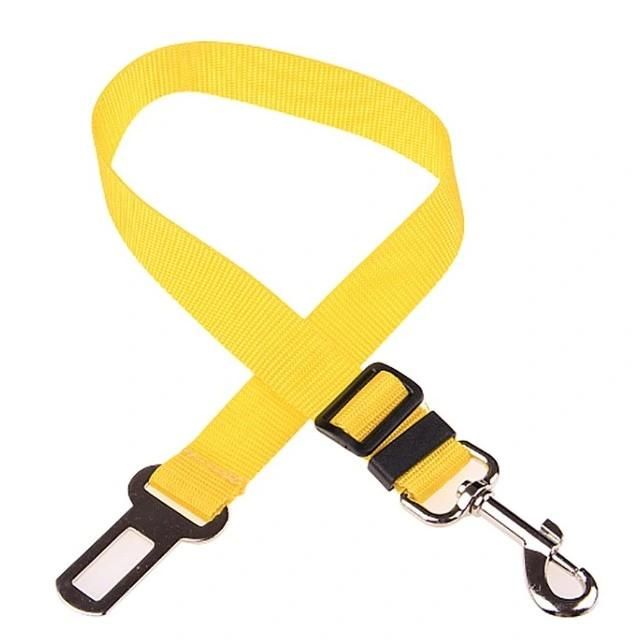 Walking Quickly Colourful Supply Point Pet Leash Accessory