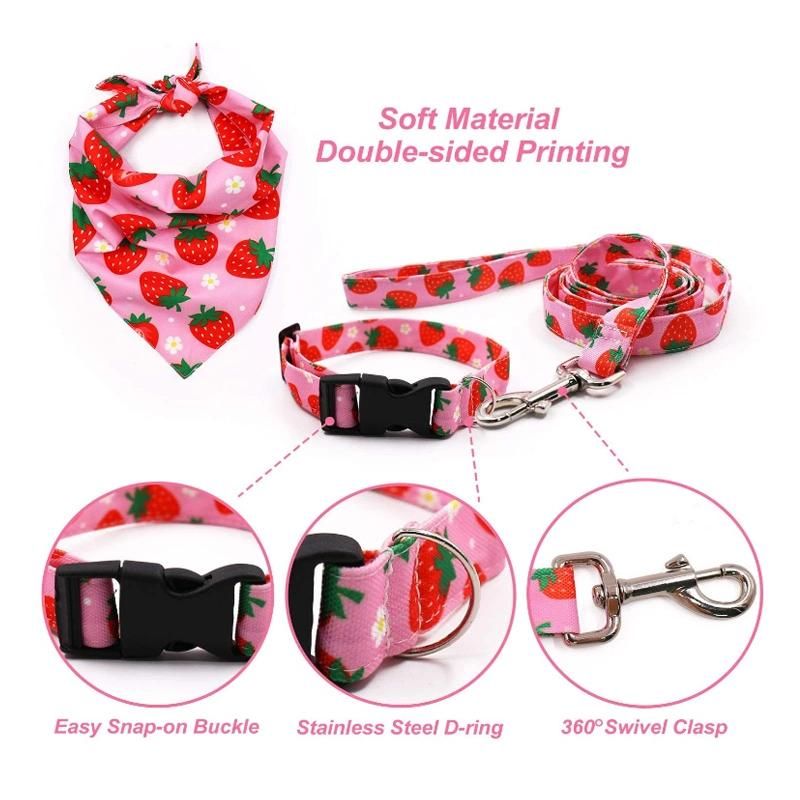 Dog Accesories Custom Personalized Design Strong Pet Dog Collar and Leashes Adjustable for Sublimation Dog Collar Metal Buckle/Dog Harness
