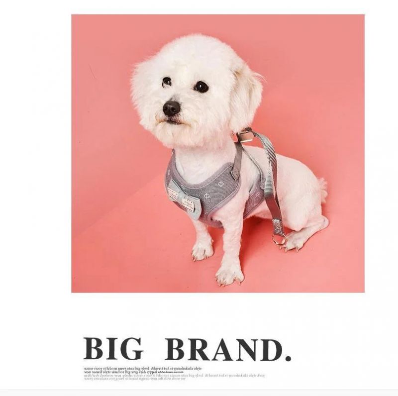 Pet Supply Breathable Portable Outdoor Dog Harness for Small Dog Pet Products
