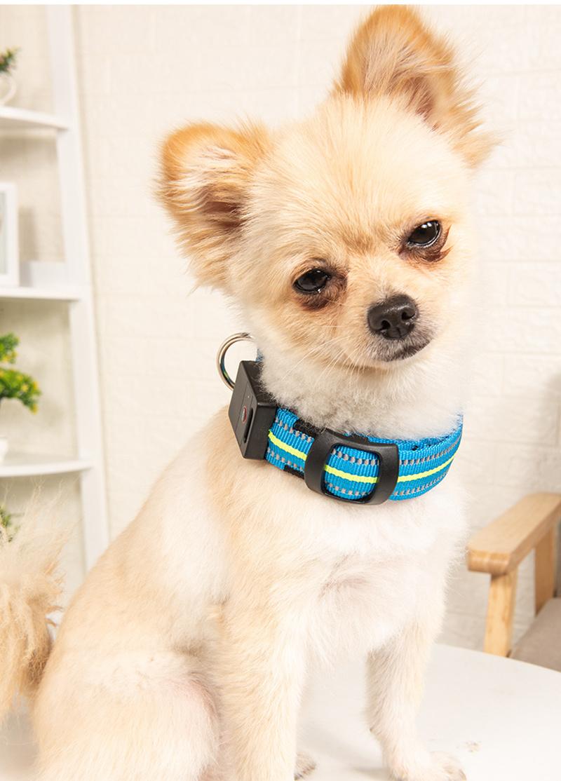 Waterproof Nylon Pet Dog Collar LED USB Rechargeable Reflective Collars