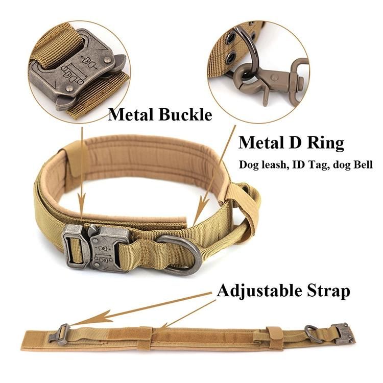 Outdoor Pet Collar and Dog Leash Set Explosion-Proof