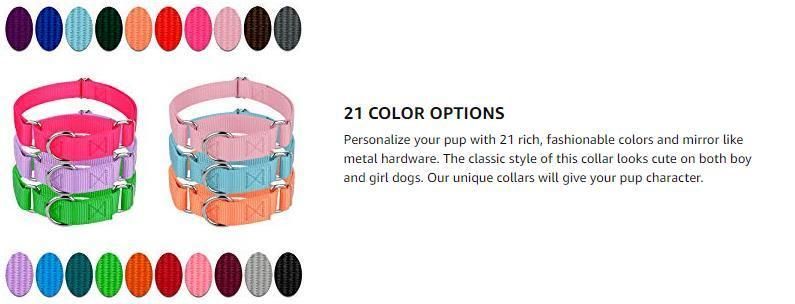 Traditional Martingale-Style Collars Soft Nylon Cat Collars