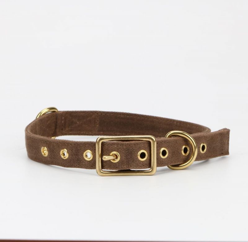 Dark Brown Canvas Waxed Dog Collar with Brass Metal