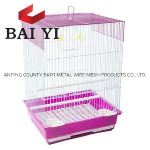 Wholesale Canary Breeding Cages for Sale