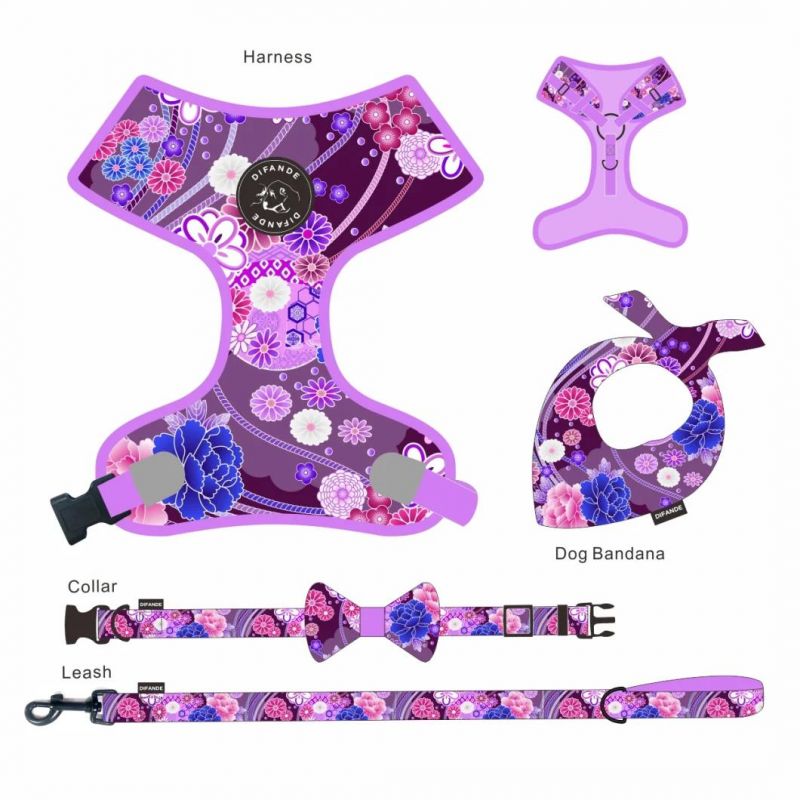 Custom Fashion Adjustable Pet Collar and Leash Harness Heat Transfer Sublimation Logo Printed Dog Collar Leash Set