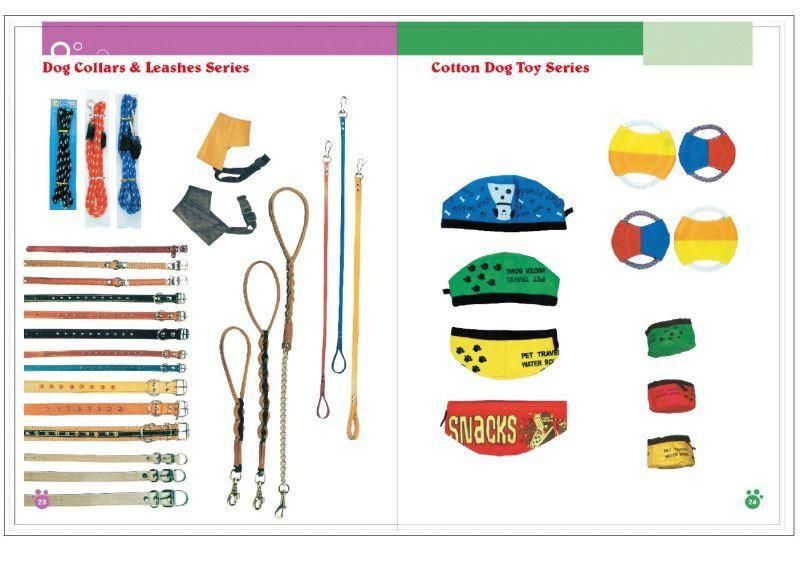 Dog Collar and Leashes and Others
