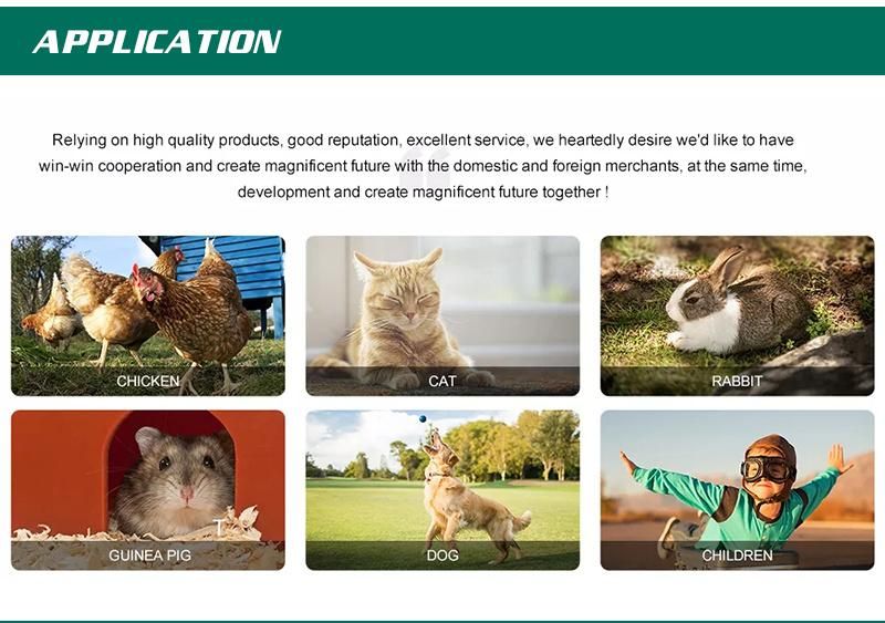 The Latest Hot Buy International Station Waterproof Semi-Enclosed Pet Nest