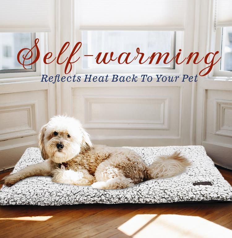 Anti-Skid Bottom Self Warming Pet Bed PP Cotton Dog Cushion