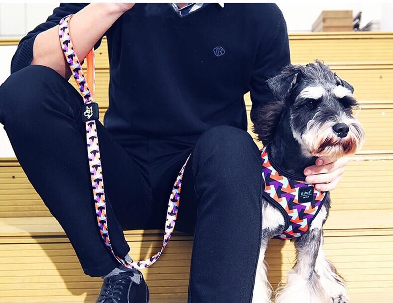 2021 Hot Sale Pet Supplies Wholesale Collars Ins Hot Sale Dog Harness Customized Pattern Pet Products, Elite Pet Products