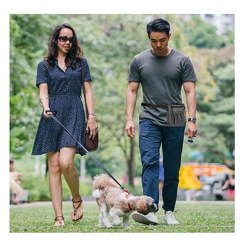 Dog Treat Pouch Bag, Dog Walking Bag, Puppy Training Pouch with Collapsible Water Bowl Bag