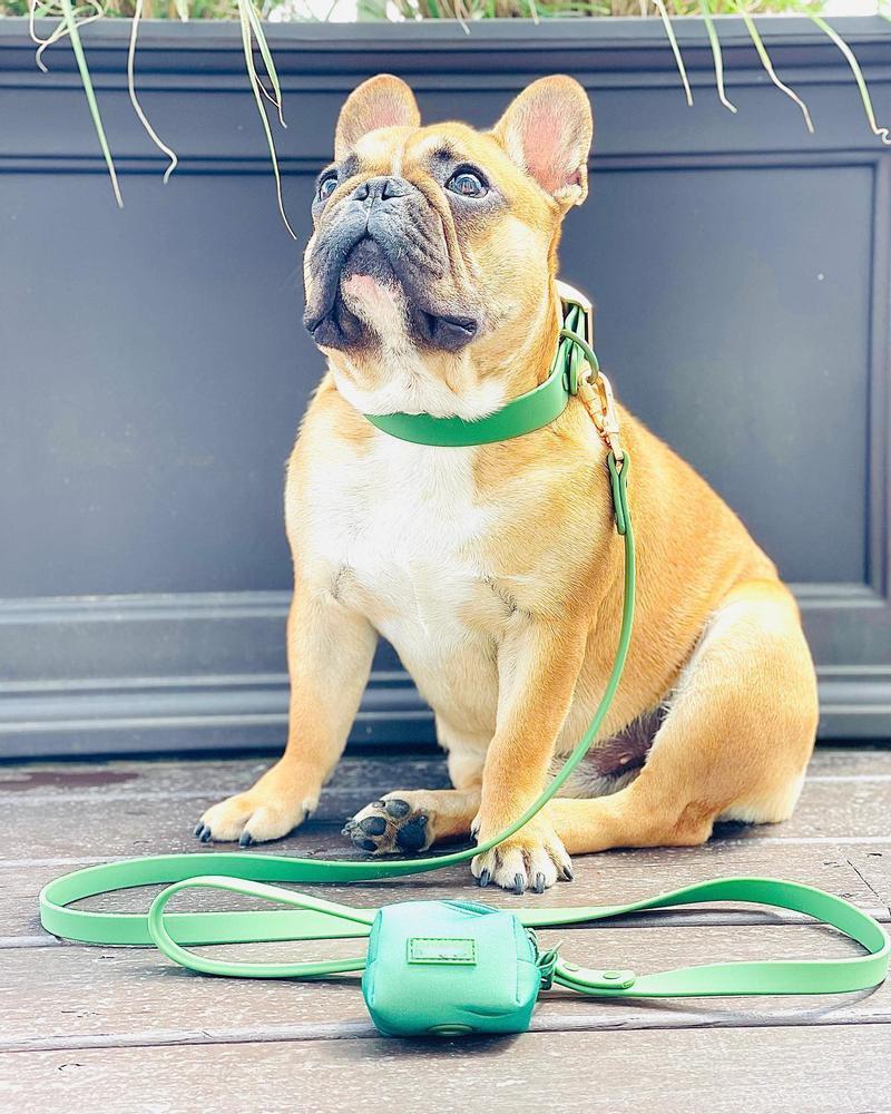 Durable Waterproof Dog Collar Leash with Fashion Design