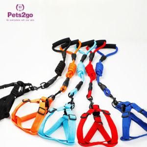 Pet Supply Sponge Handle Dog Chain Round Rope Candy Colored Pet Leash Pet Product Wholesale