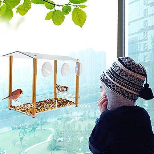 Hot Sale Transparent Acrylic Window Bird Feeder with Cheap Price