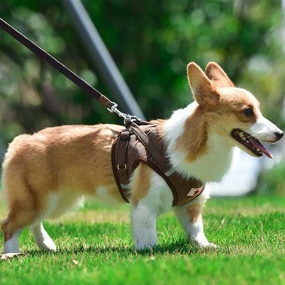 China Best Cat Supplies Soft Comfortable Dog Harness Set Corduroy Adjustable Dog Harness with Leash