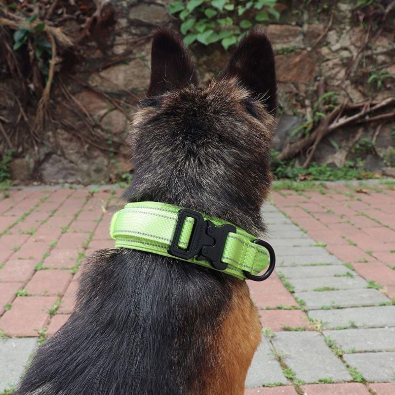 Reflective Nylon Dog Collar with Metal Buckle and Control Handle