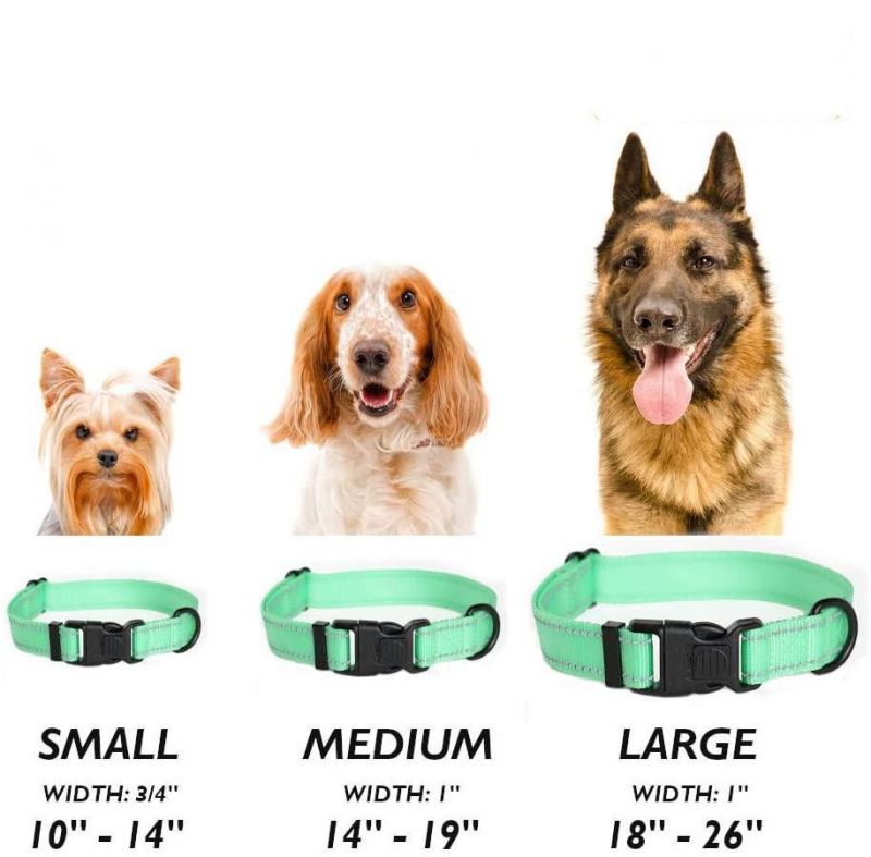 Durable Reflective Nylon Dog Collar with Multiple Colors