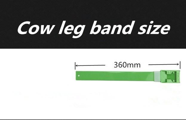 Reusable TPU Leg Bands for Cow and Cattle