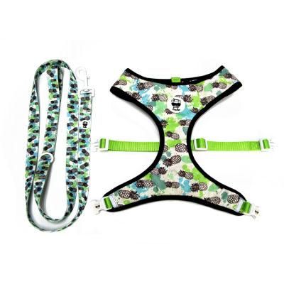 Fashion Pet Supplies Wholesale Collars Leashes Ins Hot Sale Cat Collar Leash Breathable Mesh Dog Harness