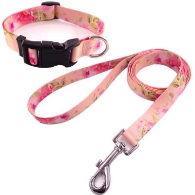 Promotional High Quality Pet Dog Collar and Leash for Walking