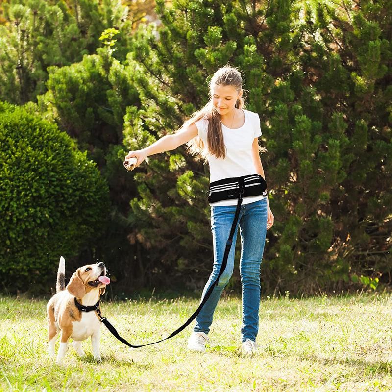 Adjustable Durable Jogging Belt & Hands Free Retractable Dog Leash Shock Absorbing Bungee Leash with Waist Belt