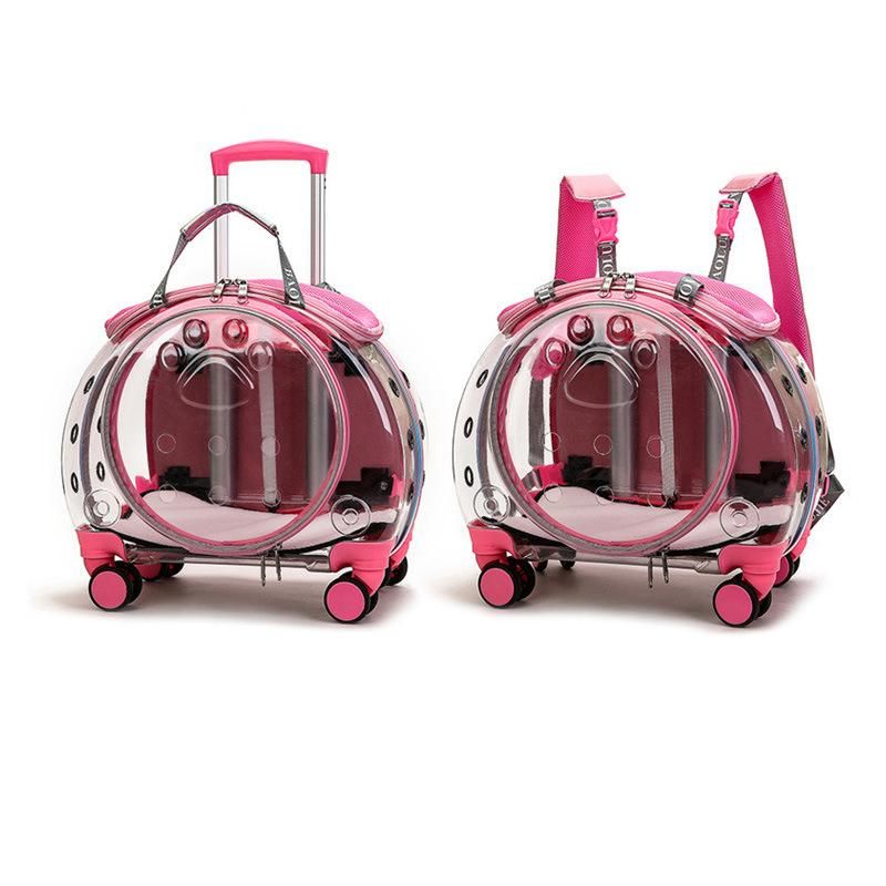 Transport Cat Dog Cage Maintenance Pet Carriers