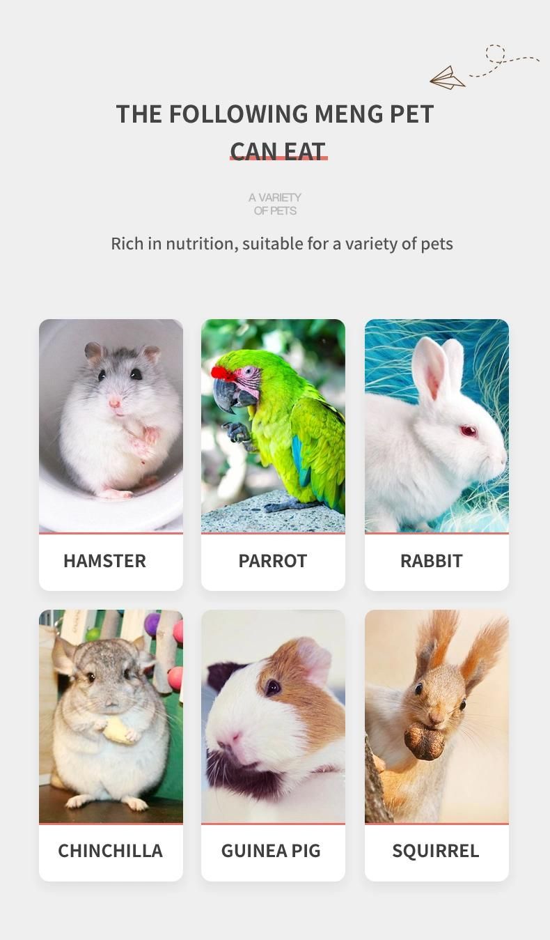 Wholesale Squirrel Hamster Snacks Staple Black Sunflower Seeds Pet Products