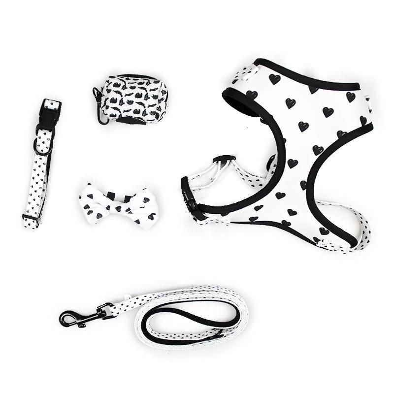 Premium Quality Custom Design & Logo Dog Harness Set, Pet Collar Lead Accessories