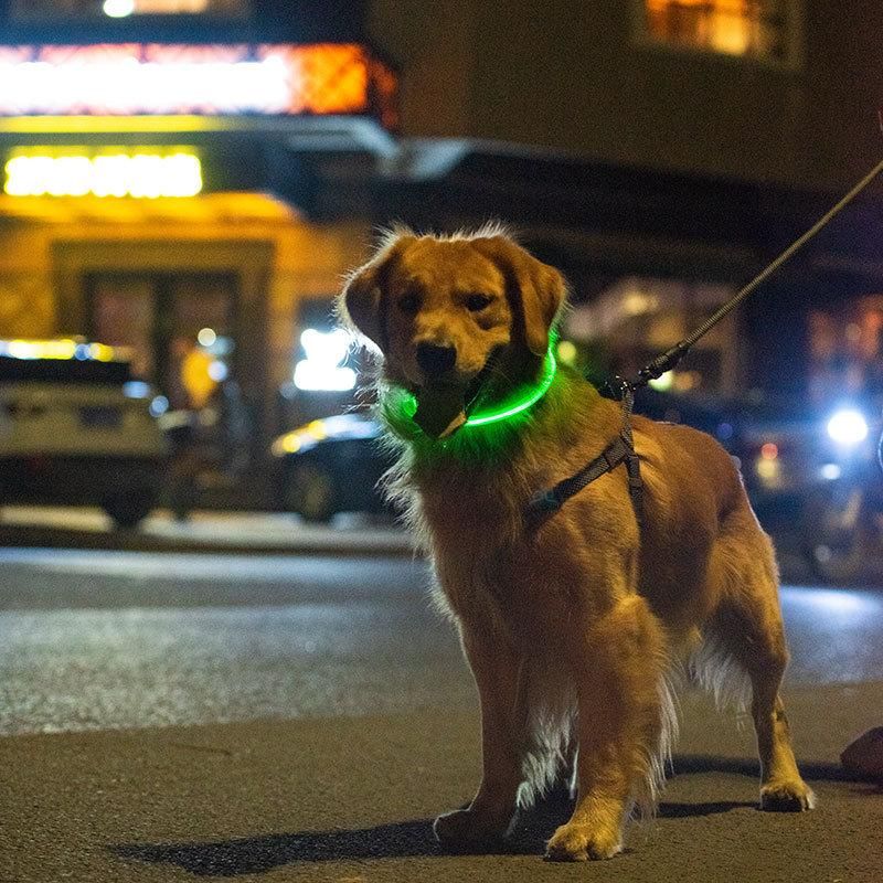 Optical Fiber LED Luminous Collar Multi-Color USB Charging Collar Can Shorten The Pet Collar
