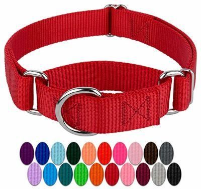 Durable Martingale Heavy Duty Nylon Dog Collar