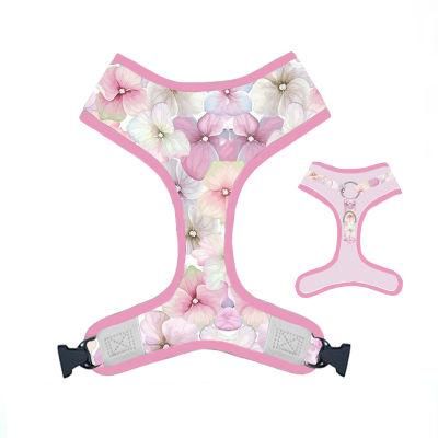 2021 Hot Sell Customized Walking Puppy Pet Harness and Collar Leash