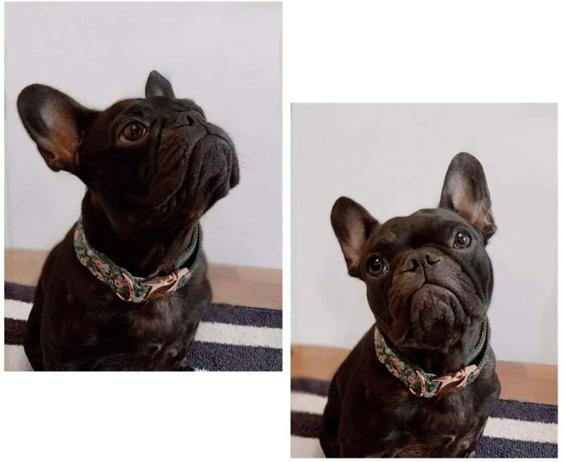 Adjustable Dog Collar with Bow Tie