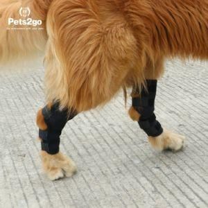 Dog Kneepap Pet Surgery to Restore Joint Protection Pet Supplies