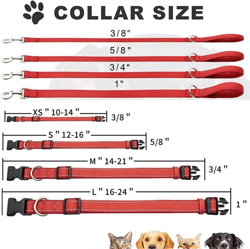 Highly Reflective Nylon Dog Collar with Matching Leash with Fast Delivery