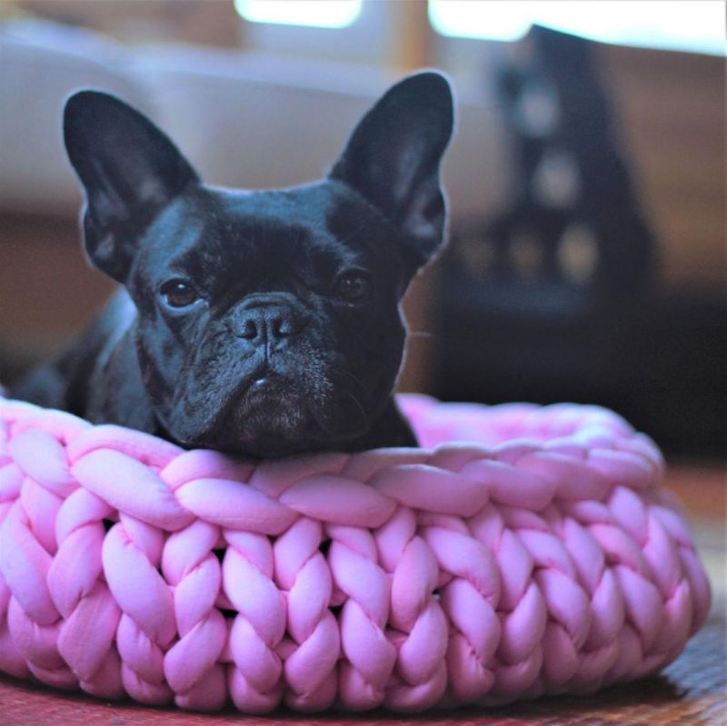 Braided Bed for Cats and Small Dogs