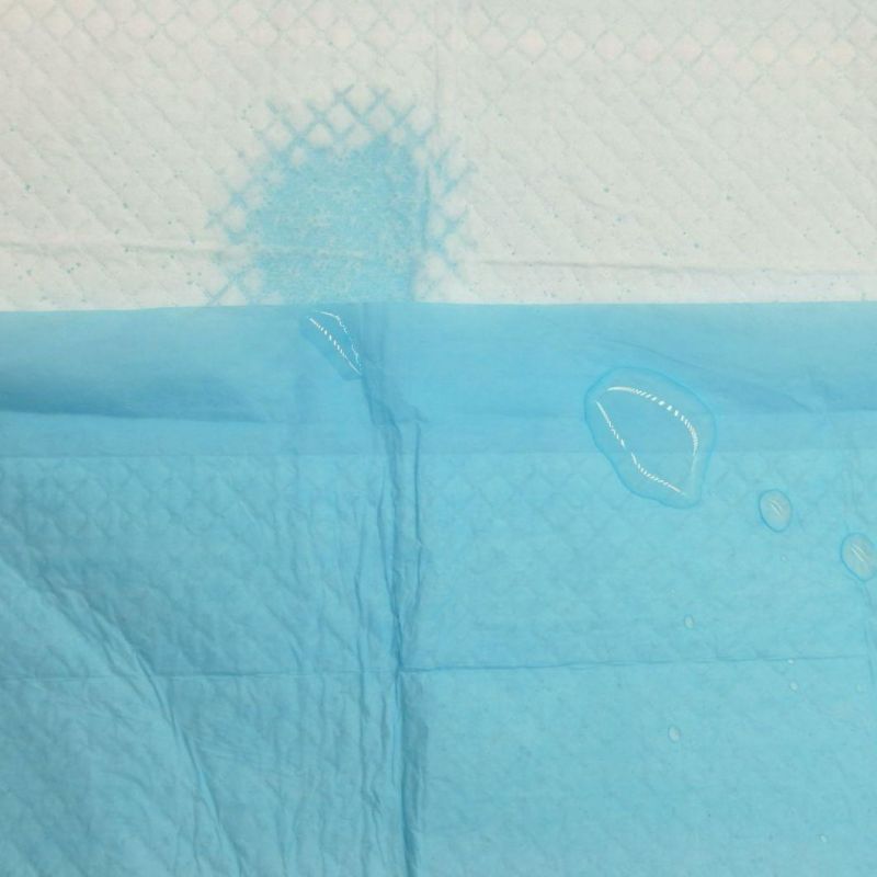Leak-Free Biodegradable Pet Pads for Dog&Cat