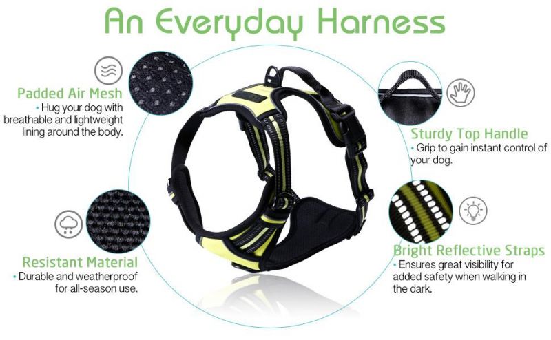 Outdoor Easy Control Pet Harness for Small Medium Large Dogs